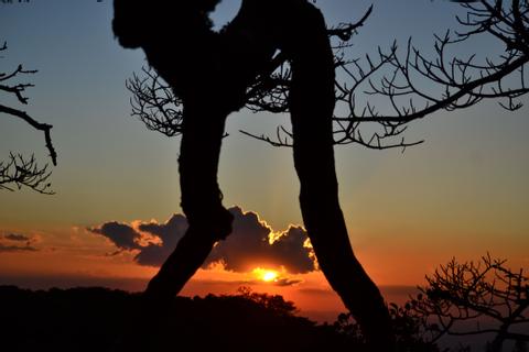 Tree Top Climbing Night Tour